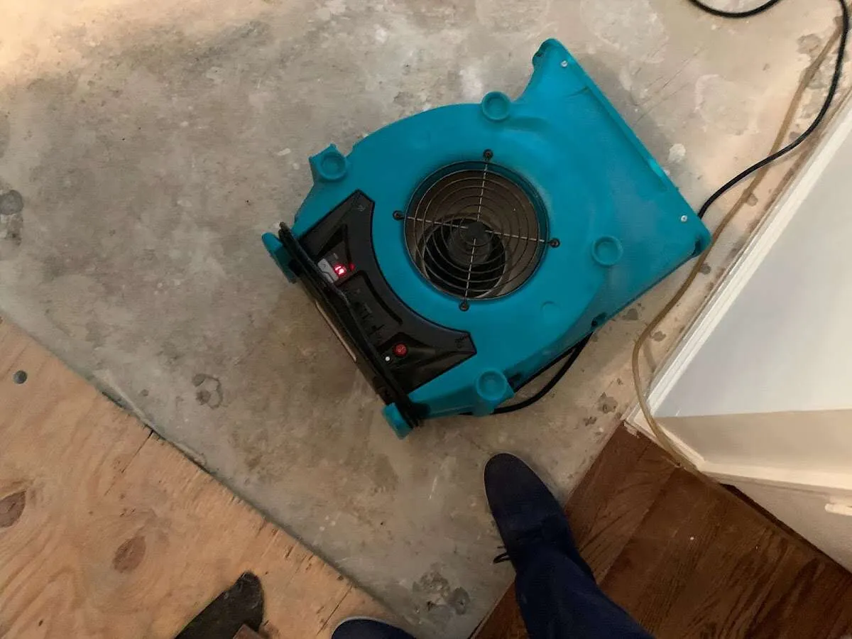 Air mover drying subfloor during Commercial Water Damage Restoration in Show Low